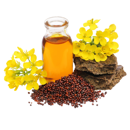 খাঁটি ঘানির সরিষার তেল (Mustard Oil) – প্রাকৃতিক স্বাদ ও স্বাস্থ্যরক্ষার চাবিকাঠি - 500ml